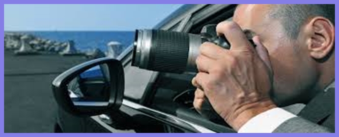 özel dedektiflik nedir