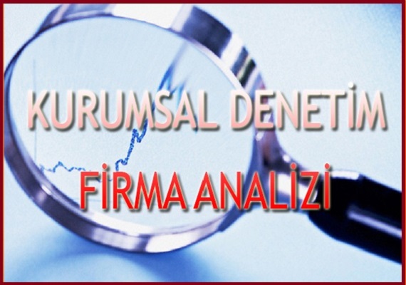 Kurumsal Denetim ve Firma Analizi