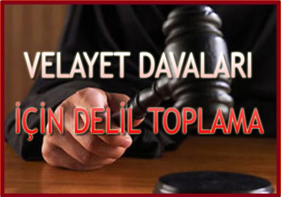 Velayet Davaları için Delil Toplama